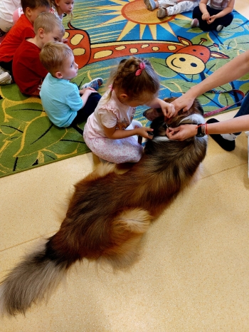 IMG-20250517-WA0017