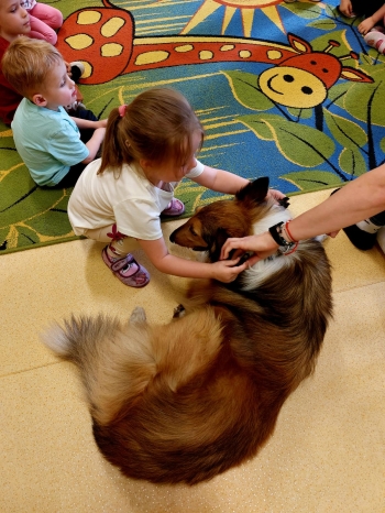 IMG-20250517-WA0019