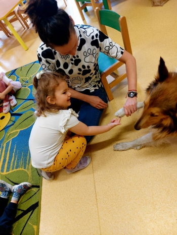 IMG-20250517-WA0028