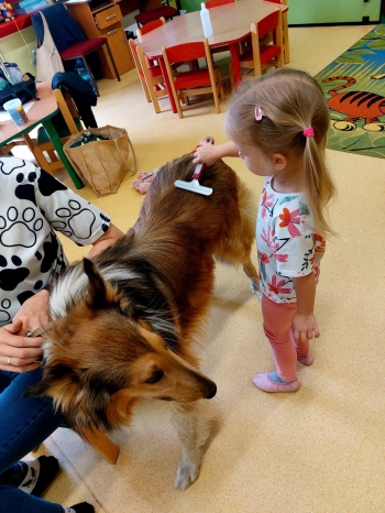 IMG-20250517-WA0030