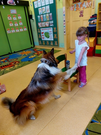 IMG-20250517-WA0041