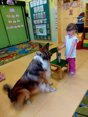 IMG-20250517-WA0042