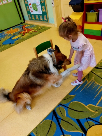 IMG-20250517-WA0045
