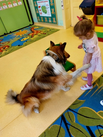 IMG-20250517-WA0046
