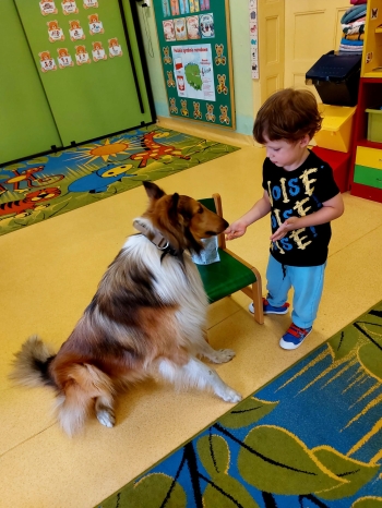IMG-20250517-WA0047