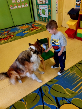 IMG-20250517-WA0049
