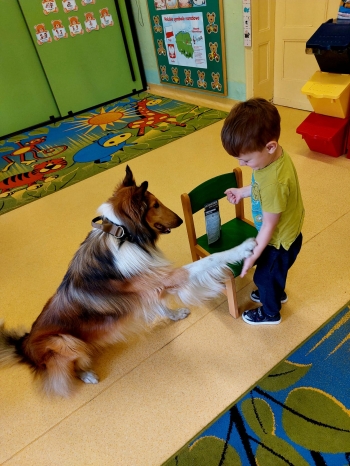 IMG-20250517-WA0057