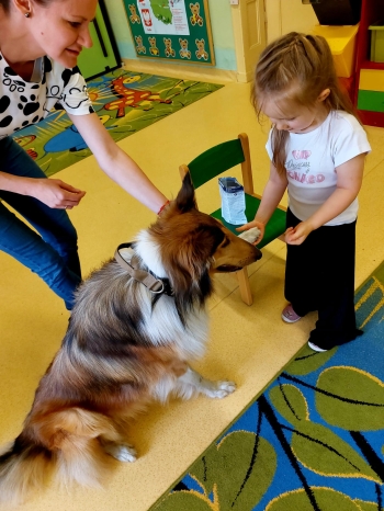 IMG-20250517-WA0060