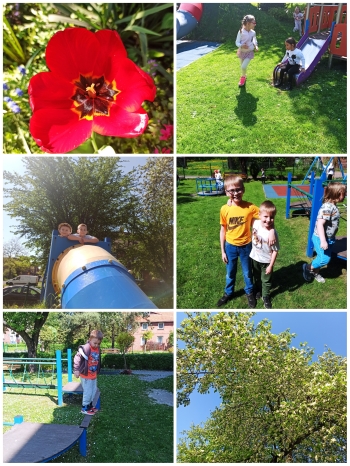 IMG_20250504_201923