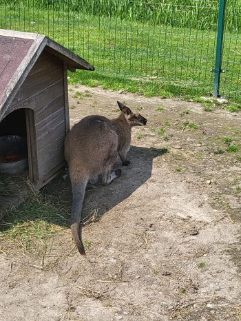 IMG-20250608-WA0041