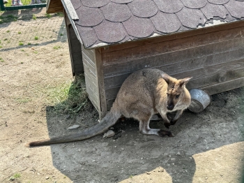 IMG-20250605-WA0082
