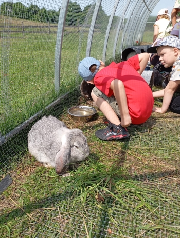 IMG-20250609-WA0009