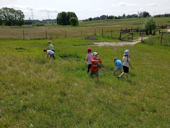 IMG-20250609-WA0013