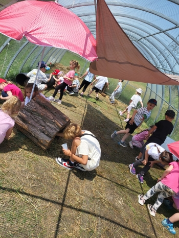 IMG-20250608-WA0062