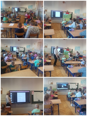 Liski i IIIc (9).jpeg