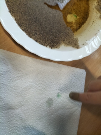 WhatsApp Image 2025-10-15 at 11.05.19 (3).jpeg