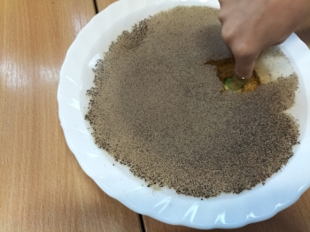 WhatsApp Image 2025-10-15 at 11.05.19.jpeg