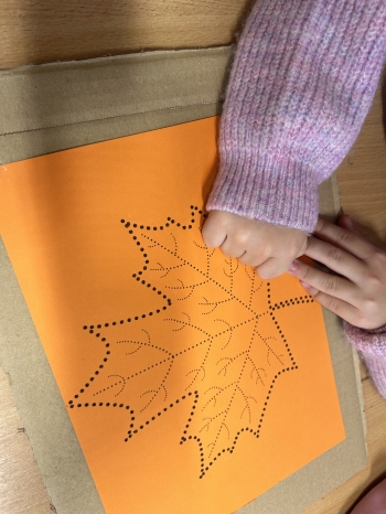 20251023_081500_IMG_3764