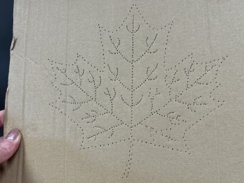 20251023_095513_IMG_3783