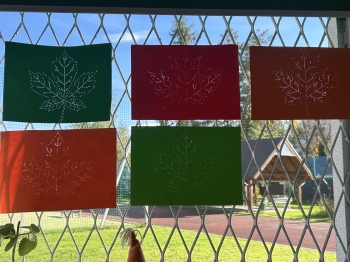 20251023_135554_IMG_3793