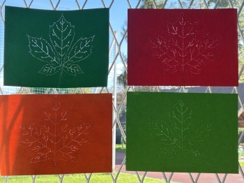 20251023_135615_IMG_3794