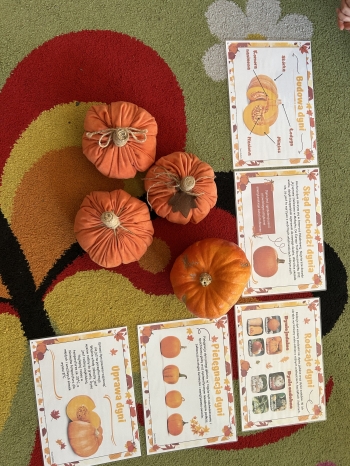 20251031_095159_IMG_3952