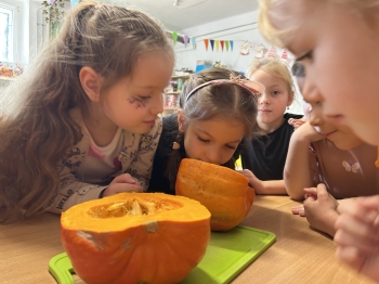 20251031_100902_IMG_3958