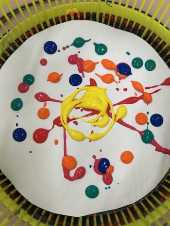 20251119_101154_IMG_4227