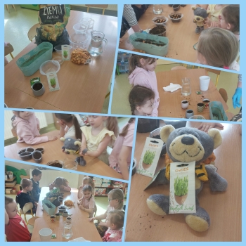 ekologiczny ogródek cd.-Liski