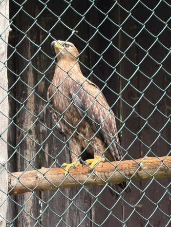 IMG-20260601-WA0020