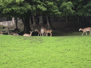 IMG-20260601-WA0147