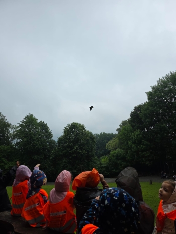 IMG-20260601-WA0263