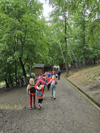 IMG-20260601-WA0182