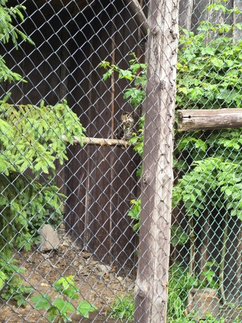 IMG-20260601-WA0193