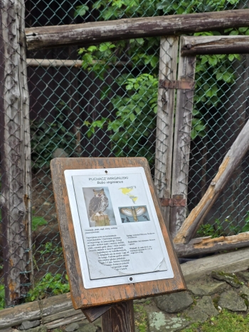 IMG-20260601-WA0194