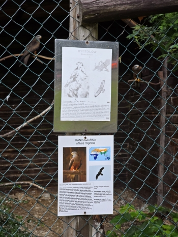 IMG-20260601-WA0200