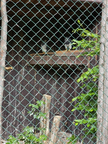 IMG-20260601-WA0199