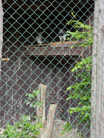 IMG-20260601-WA0202