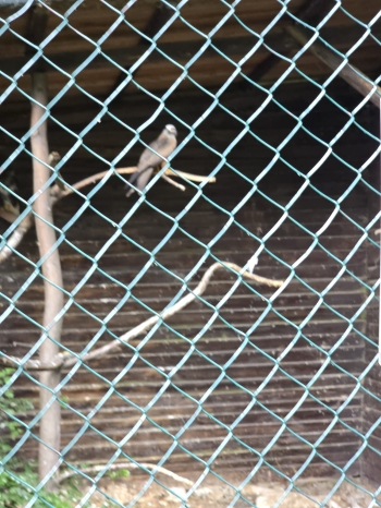 IMG-20260601-WA0203