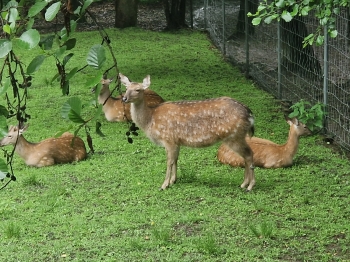 IMG-20260602-WA0225