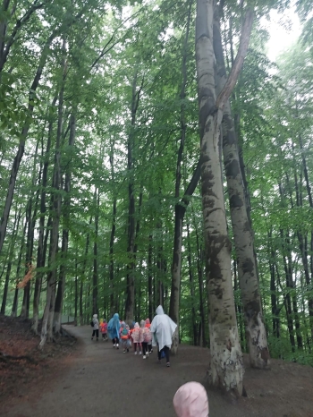 IMG-20260601-WA0086
