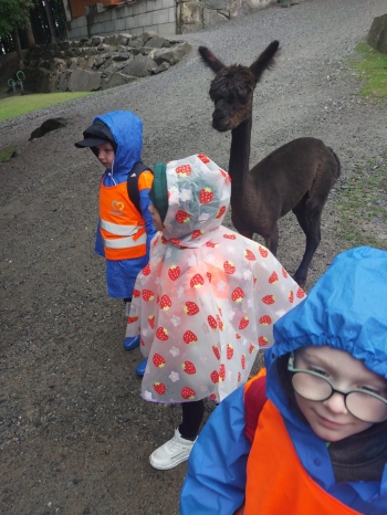 IMG-20260601-WA0088