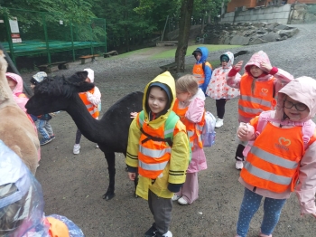 IMG-20260601-WA0095