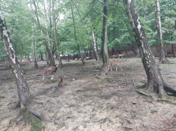 IMG-20260601-WA0109
