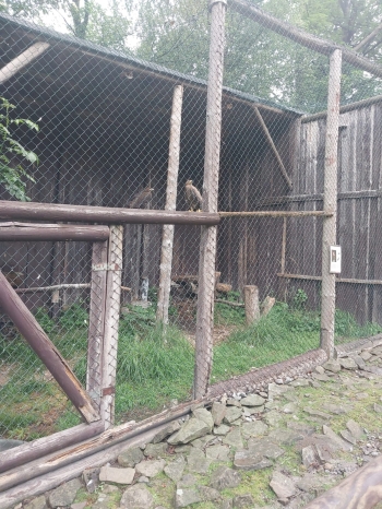 IMG-20260601-WA0115