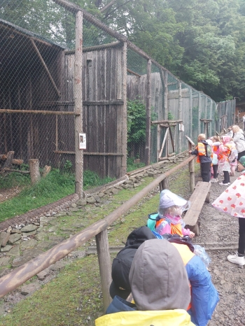 IMG-20260601-WA0116