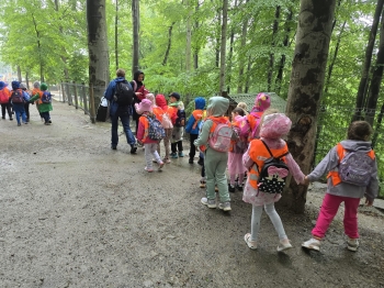 IMG-20260601-WA0135