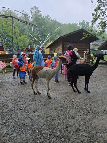 IMG-20260601-WA0137