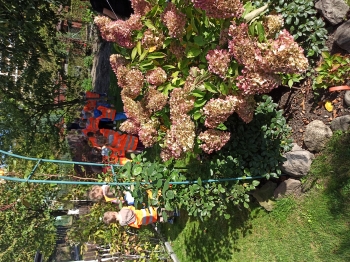 IMG_20261002_110515